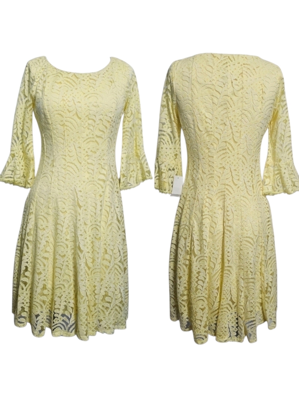 Anthropologie Rabbit  Rabbit Rabbit Lace Fit Flare Overlay Cottagecore Dress S